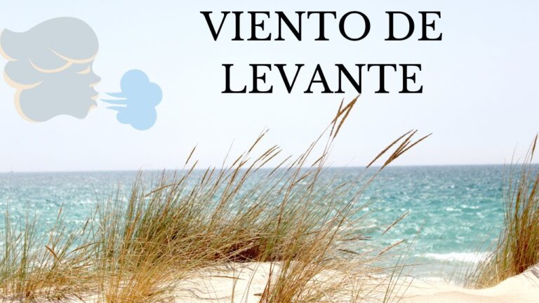 ¿Quieres saber si hay levante en Cádiz? Descubre aquí cómo hacerlo.
